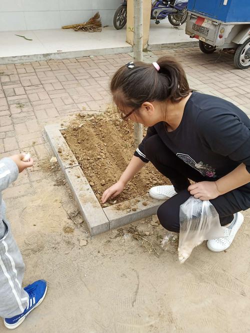 老师在播种