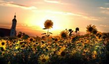 人生需要艰辛与磨砺