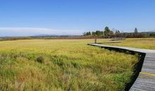 秋天的湿地公园