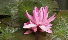 莲情谷课外拓展