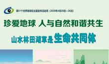 与自然和谐共生