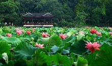 美丽的杭州西湖