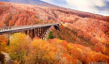 藏在秋天的那份情