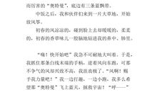 故乡的春天作文600字