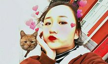 不能逞的“英雄”