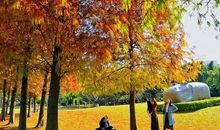 惬意优美的秋天