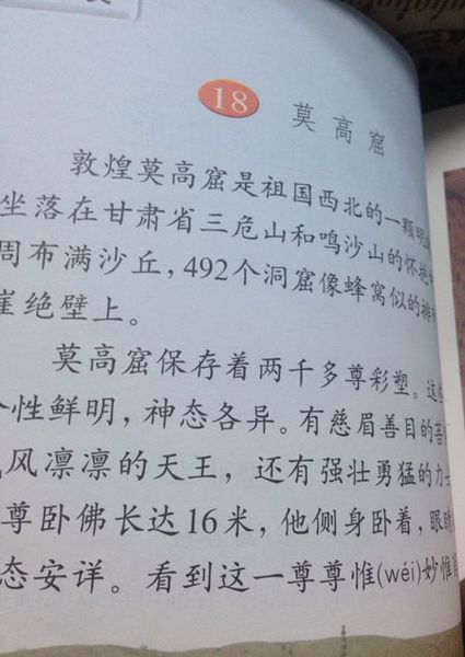 我最喜欢的动物练习笔