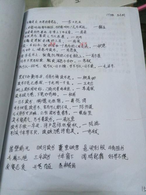 痛苦与愉悦的交响曲