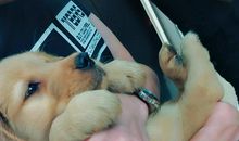 一份沉甸甸的母爱