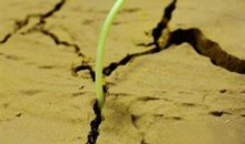 成长中难忘的事