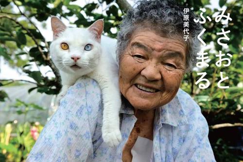 温暖的奶奶