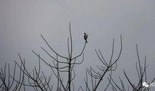 那是一次美妙的尝试