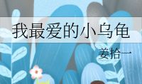 我最爱的小乌龟