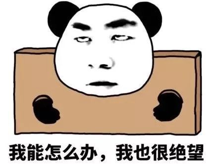 我真的从中学到了很多