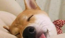 那段有光脚陪伴的日子