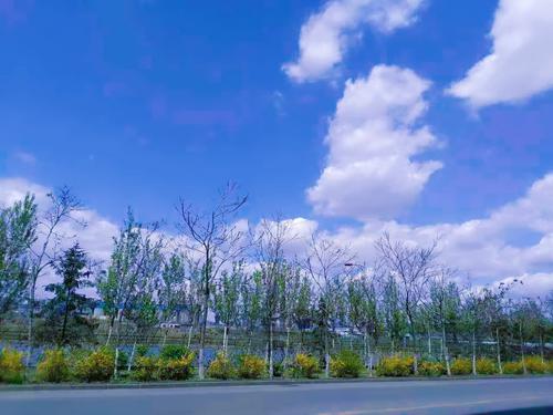 纯真也是一种美