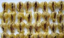 那一次意外的发现