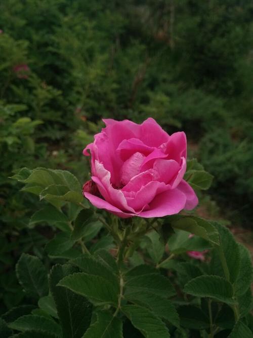 无语的温暖
