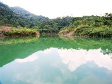 感恩节风光，独特的_1500字