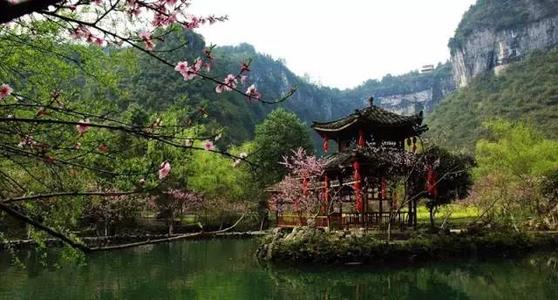 我心中的桃花