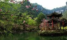 我心中的桃花源