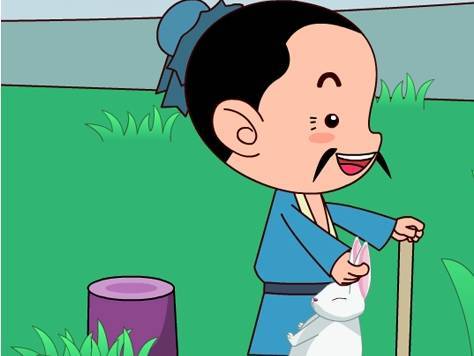 新来的兔子