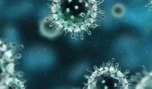 冠状病毒的自述