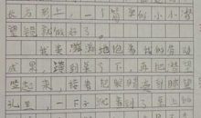 我做了一项小实验