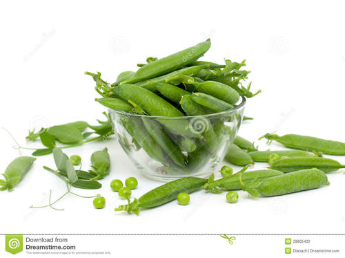 豌豆荚中的五豆继续