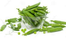 一个豌豆荚里的五粒豆续写