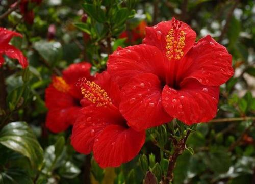 四个季节