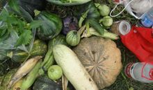 三日农耕，千斤收获