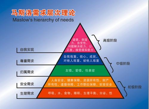 我的学习历程