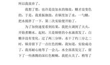 有趣的一次实验作文500字