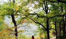 与梦想一起走过的日子