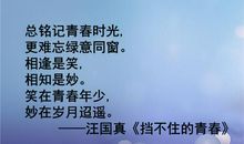 我逝去的初一时光