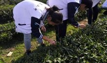 在“学农”中成长