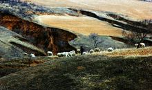 香云纱，触动我的心灵