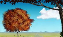 赏心美景入目来