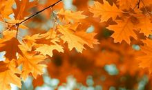 成功路上的艰难险阻