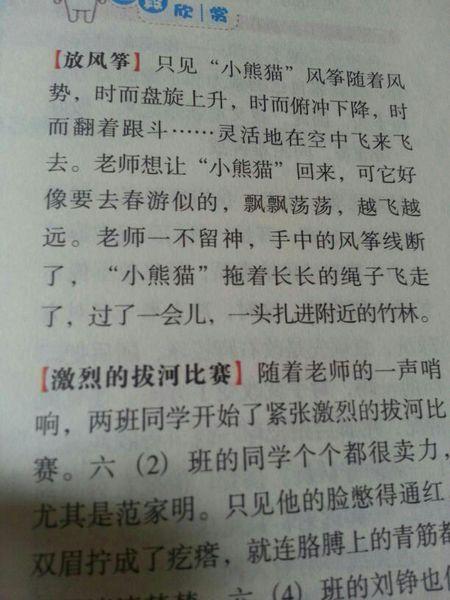 关于午餐的组成