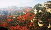 我与秋天有个约会