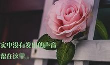 珍藏在心底的秘密