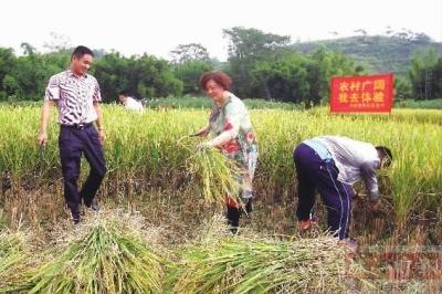 学校总结