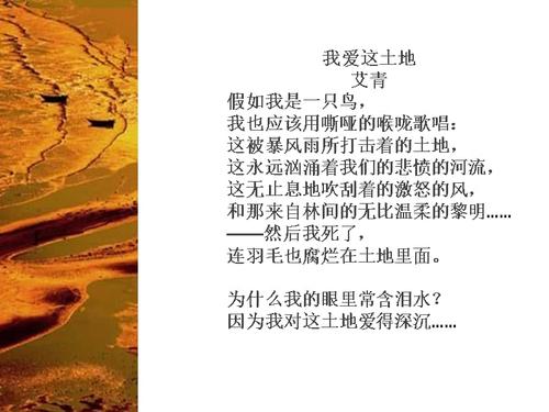 我爱这片土地