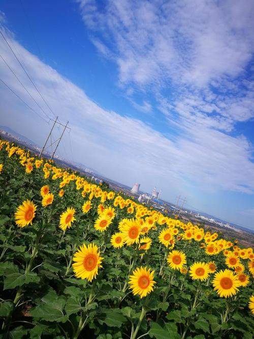 我想偷一些时间