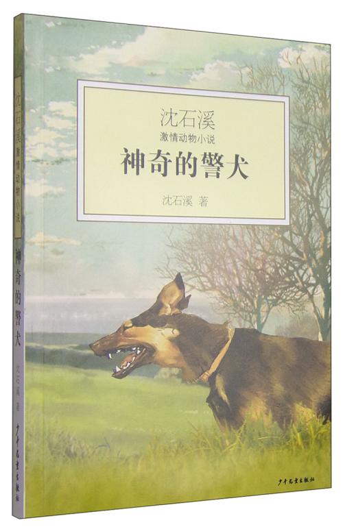 我眼中的沉世熙