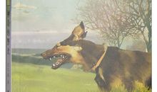 我眼中的沈石溪