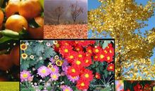 秋天的生物园_400字