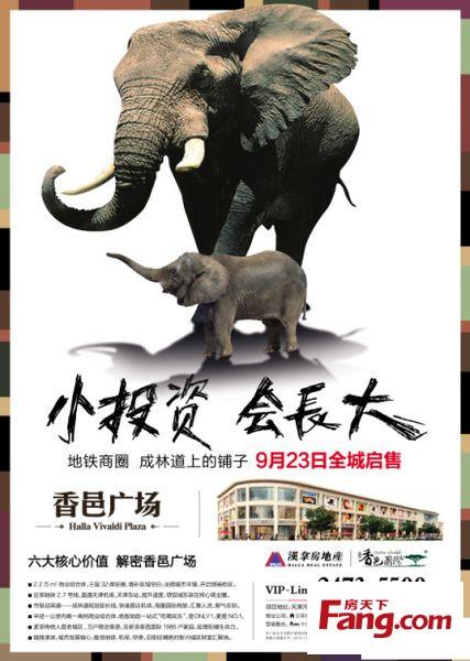 我想成立一​​个动物保护节